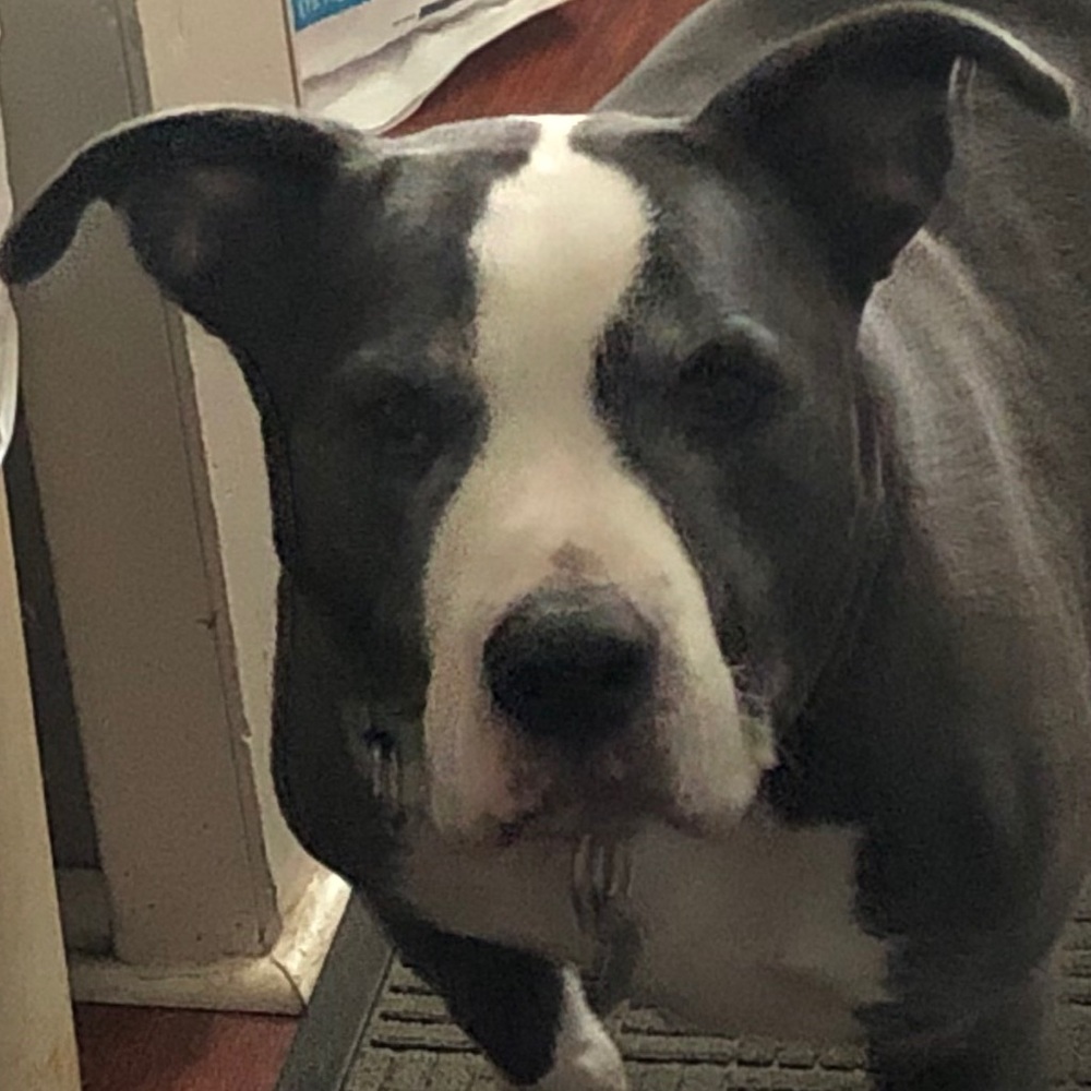 Meet your Posher, Marcy